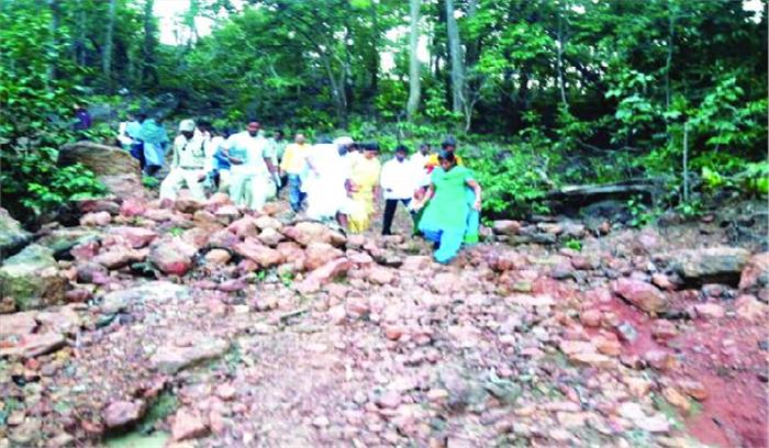 कलेक्टर किरण ने लिया हाथी प्रभावित क्षेत्र का जायजा