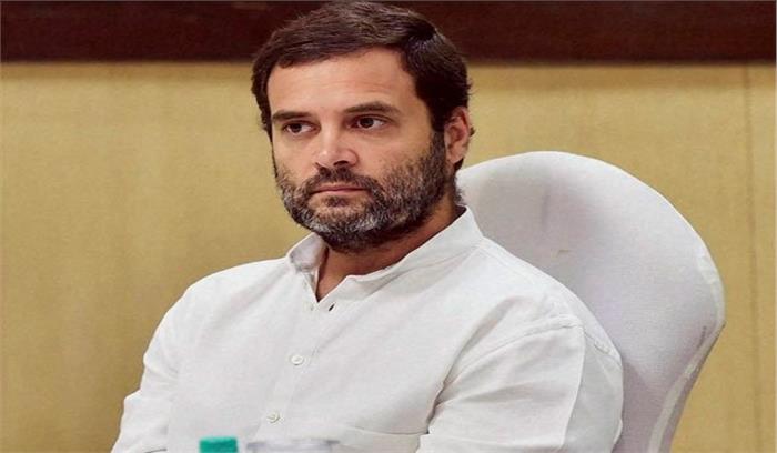 शीशम के पेड़ घोटाले में आया नया मोड़, राहुल गांधी से की गई ये मांग