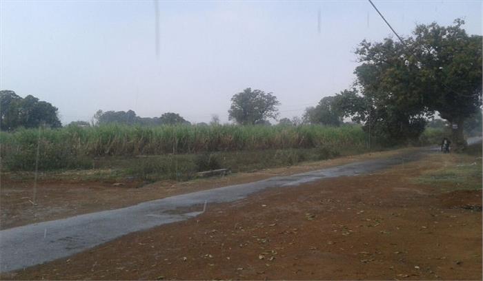 अगले दो दिनों में गरज के साथ बारिश, ओले गिरने की संभावना