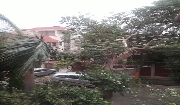 कहीं आफत तो कहीं राहत बनकर आई आंधी कहीं आफत तो कहीं राहत बनकर आई आंधी