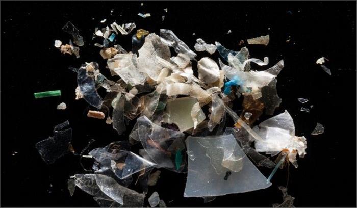 पश्चिम बंगाल में वन विभाग लगाने जा रहा है अपने पार्को में प्लास्टिक पर प्रतिबंध