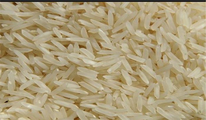 वैज्ञानिकों ने चावल की तीन नयी किस्में विकसित की, बढ़ेगा धान उत्पादन वैज्ञानिकों ने चावल की तीन नयी किस्में विकसित की, बढ़ेगा धान उत्पादन