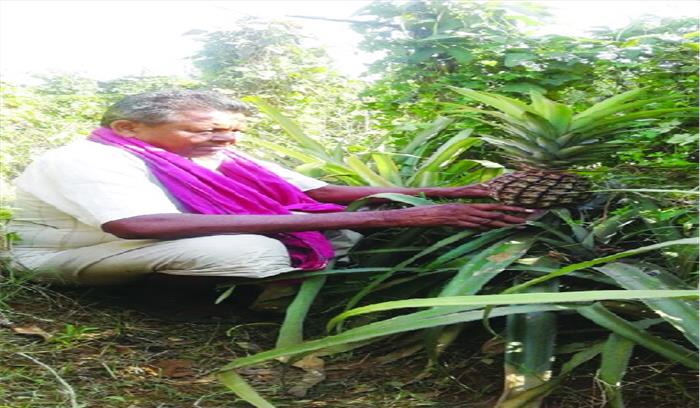 बहुआयामी उद्यानिकी कृषि से अरुण ने बदली अंचल की तस्वीर