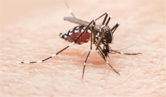 दिल्ली : सर्दी में भी सामने आ रहे डेंगू के मामले