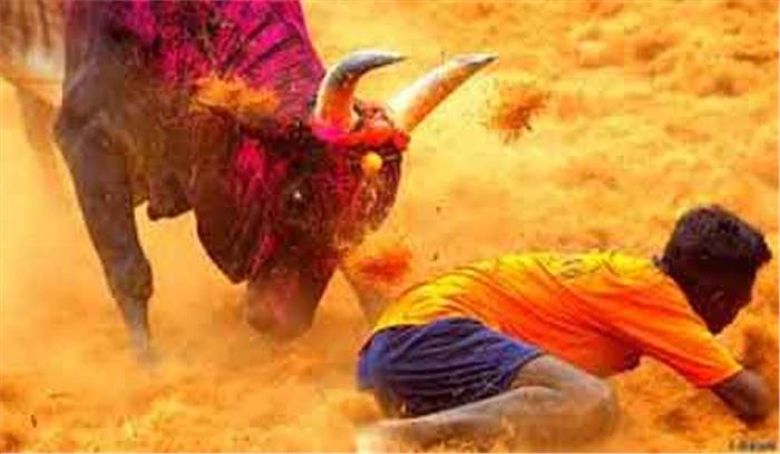 तमिलनाडु में नए कानून के साथ वैध हुआ जल्लीकट्टू
