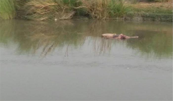 महिला की हत्या कर शव को नहर में फेंका