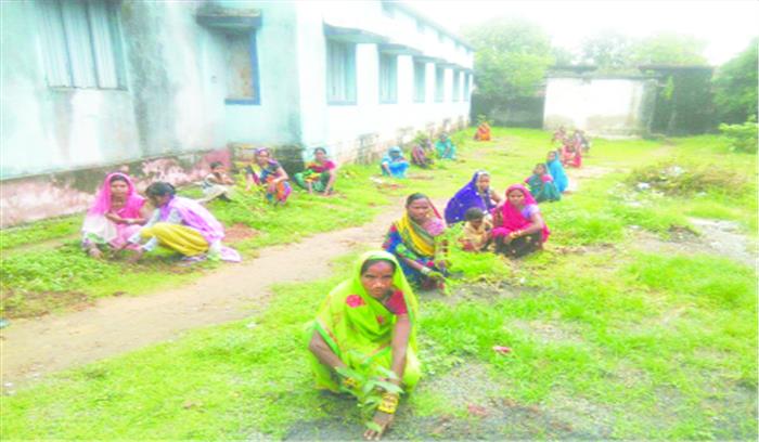 महिलाओं ने पौधरोपण कर संरक्षण का लिया संकल्प