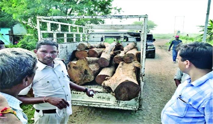 50 हजार की लकड़ी सहित तीन तस्कर गिरफ्तार