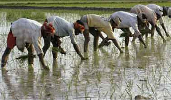 पहला काम पेट और पानी