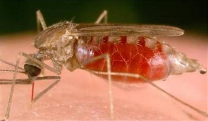 विश्व मलेरिया दिवस पर जागरूकता कार्यक्रम के आयोजन विश्व मलेरिया दिवस पर जागरूकता कार्यक्रम के आयोजन