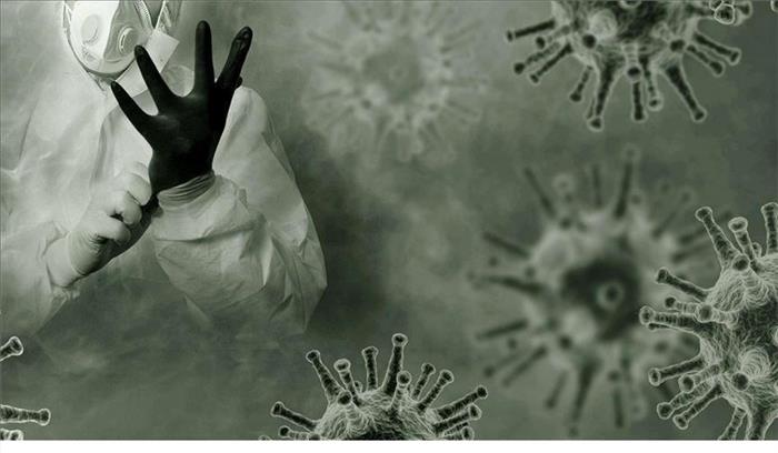 विश्वभर में कोरोना का प्रकोप, 17.73 करोड़ से अधिक लोग संक्रमित विश्वभर में कोरोना का प्रकोप, 17.73 करोड़ से अधिक लोग संक्रमित