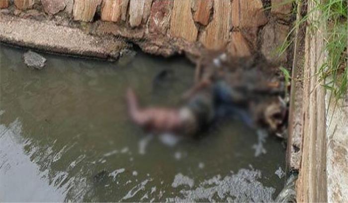 नाले के पास मिला युवक का शव 