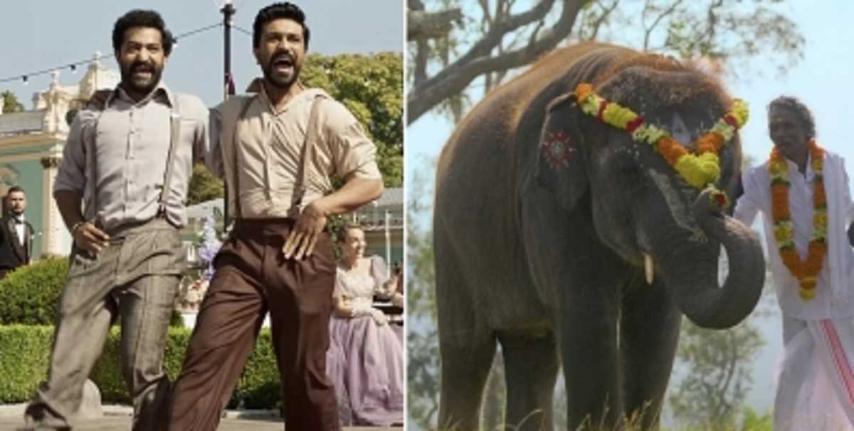 राज्यसभा ने आरआरआर और द एलीफेंट व्हिस्पर्स की टीमों को दी बधाई राज्यसभा ने आरआरआर और द एलीफेंट व्हिस्पर्स की टीमों को दी बधाई