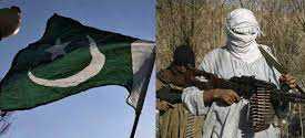 बढ़ रही है पाक-तालिबान की दोस्ती