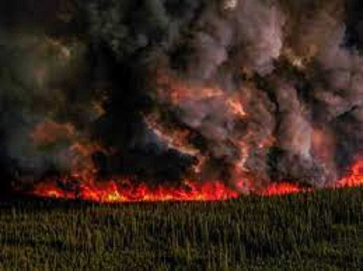 कनाडा के जंगलों में अभी भी एक हजार से अधिक स्‍थानों पर लगी है आग