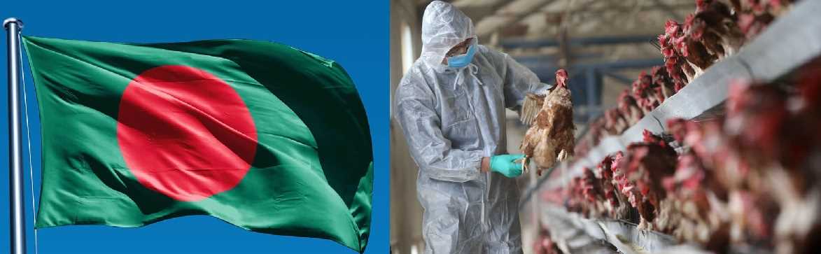 बर्ड फ्लू के कारण बांग्लादेश ने भारत से पोल्ट्री उत्पादों के आयात पर लगाई रोक