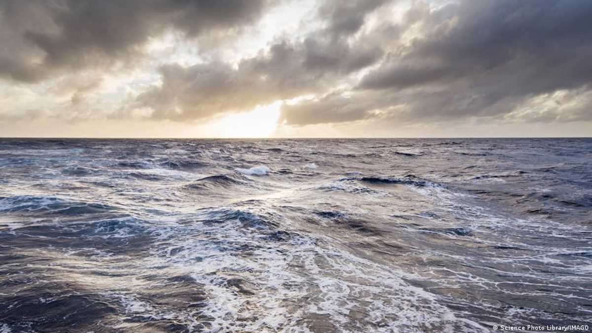 समुद्र की नई गहराइयों में पहली बार मिली मछलियां