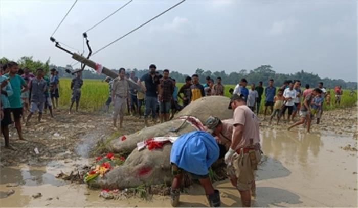 असम में 10 दिनों में 2 हथिनी की अप्राकृतिक मौत