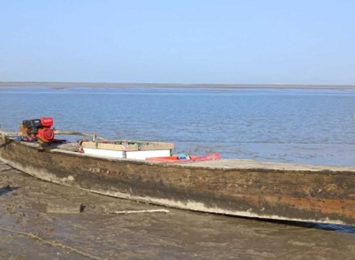 भुज में बीएसएफ ने 7 पाकिस्तानी नौकाएं जब्त की, 2 मछुआरे भी पकड़े गए भुज में बीएसएफ ने 7 पाकिस्तानी नौकाएं जब्त की, 2 मछुआरे भी पकड़े गए