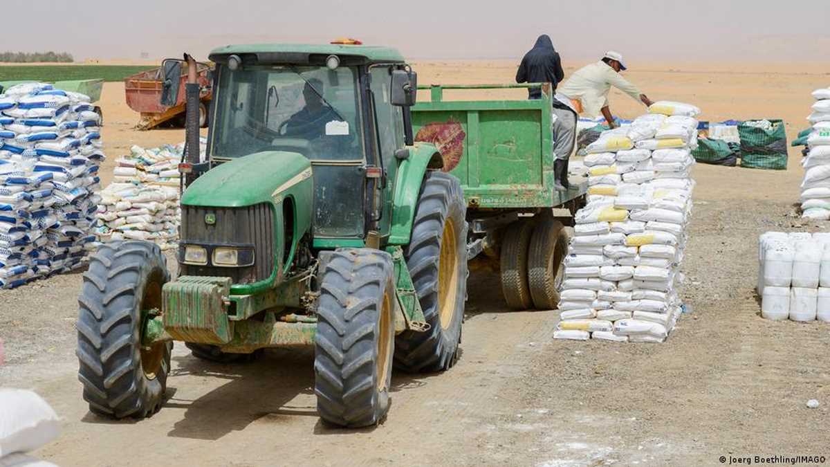 इंसानी सेहत के लिए जरूरी हो गई है नाइट्रोजन में कमीः शोध