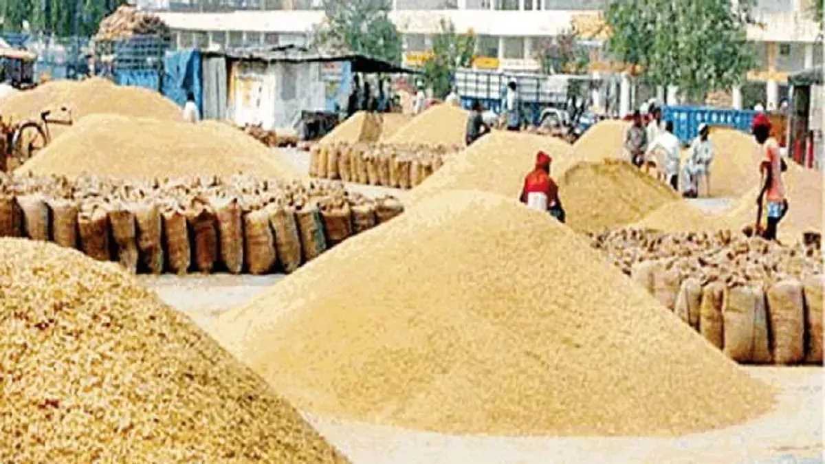सरकार ने कहा- देश के पास गेहूं और चावल का पर्याप्त स्टॉक उपलब्ध