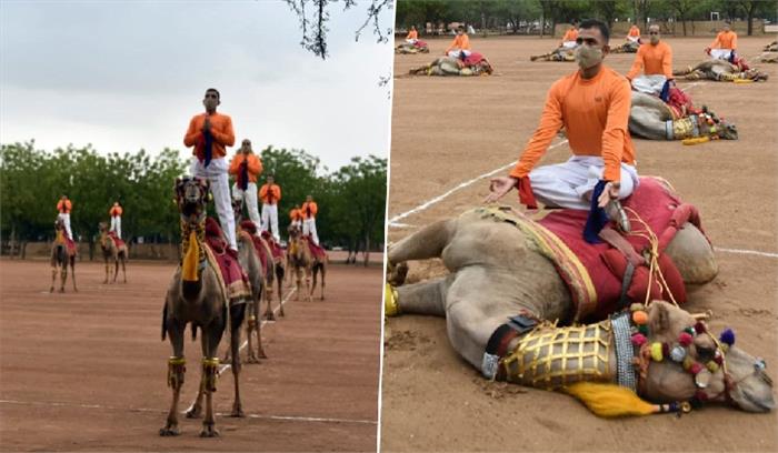 ऊंटों की पीठ पर बीएसएफ के योग करने पर सोशल मीडिया पर भड़के लोग