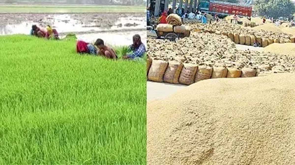 केंद्रीय कैबिनेट ने फसलों का एमएसपी बढ़ाकर किया किसानों का सम्मान : भूपेंद्र