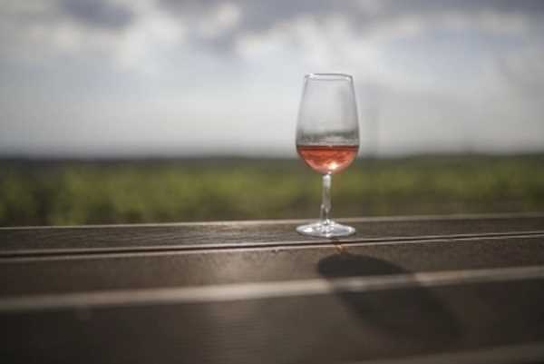 नई शराब नीति पर भाजपा का कड़ा रुख, नियमों का पालन नहीं करती दुकानें होंगी सील