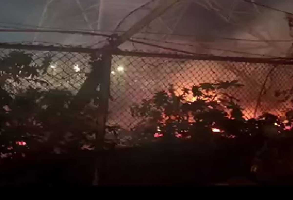 देहरादून के आईएसबीटी में बिजलीघर के अंदर झाड़ियों में लगी आग, पुलिस और फायर ब्रिगेड ने काबू पाया