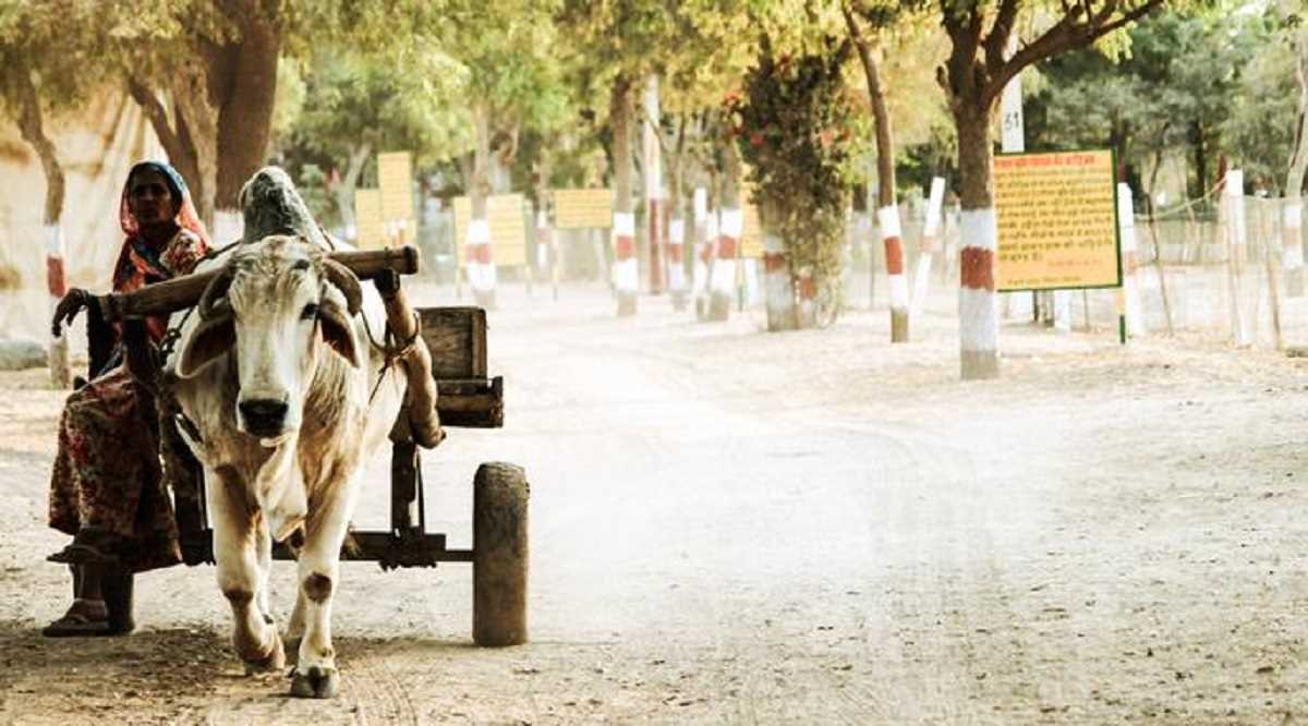 वैश्विक महाशक्ति बनने की राह पर कैसे निकला सपेरों वाला देश? वैश्विक महाशक्ति बनने की राह पर कैसे निकला सपेरों वाला देश?