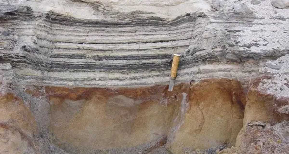 20 लाख साल पुराना डीएनए मिला