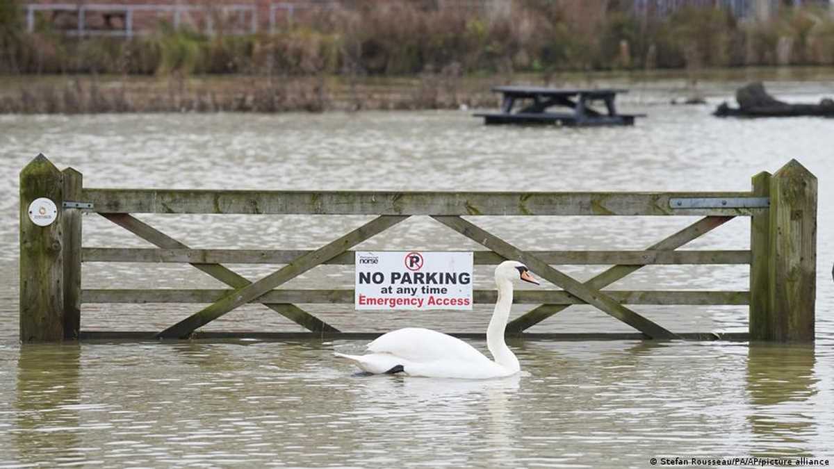 बाढ़ आना पर्यावरण के लिए अच्छा है या बुरा?