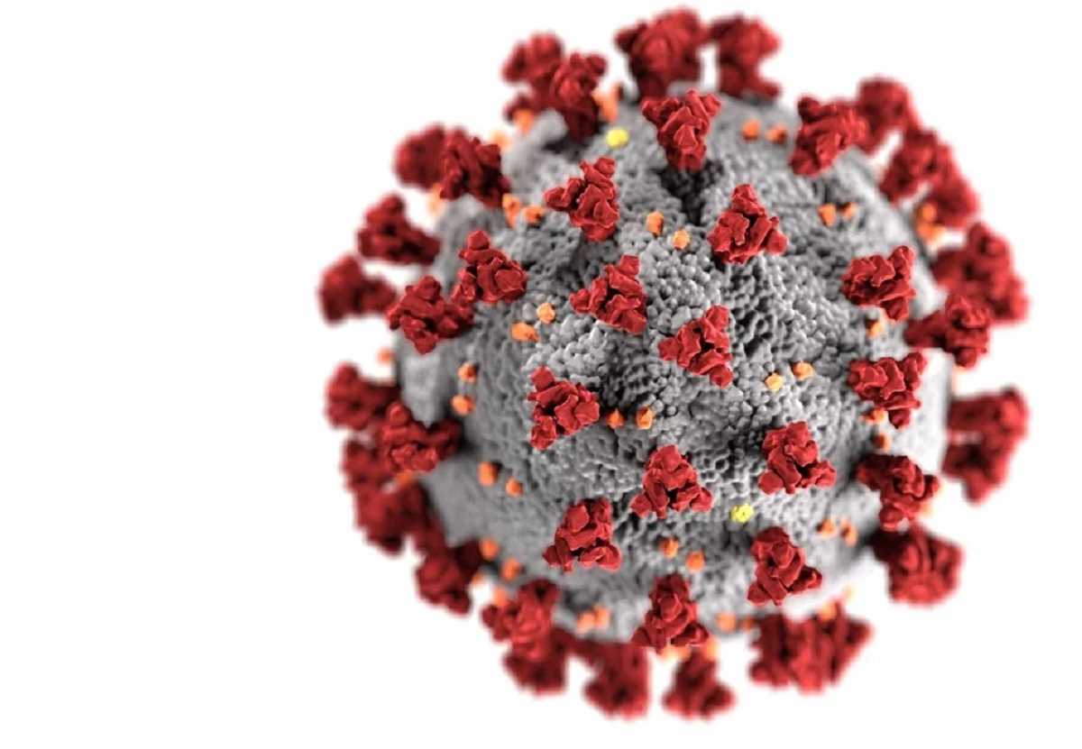 देश में कोरोना मुक्त होने वालों की संख्या में हुई वृद्धि