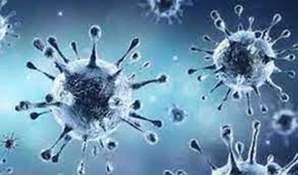 न्यूजीलैंड में कोरोना के 7,970 नए मामले दर्ज न्यूजीलैंड में कोरोना के 7,970 नए मामले दर्ज