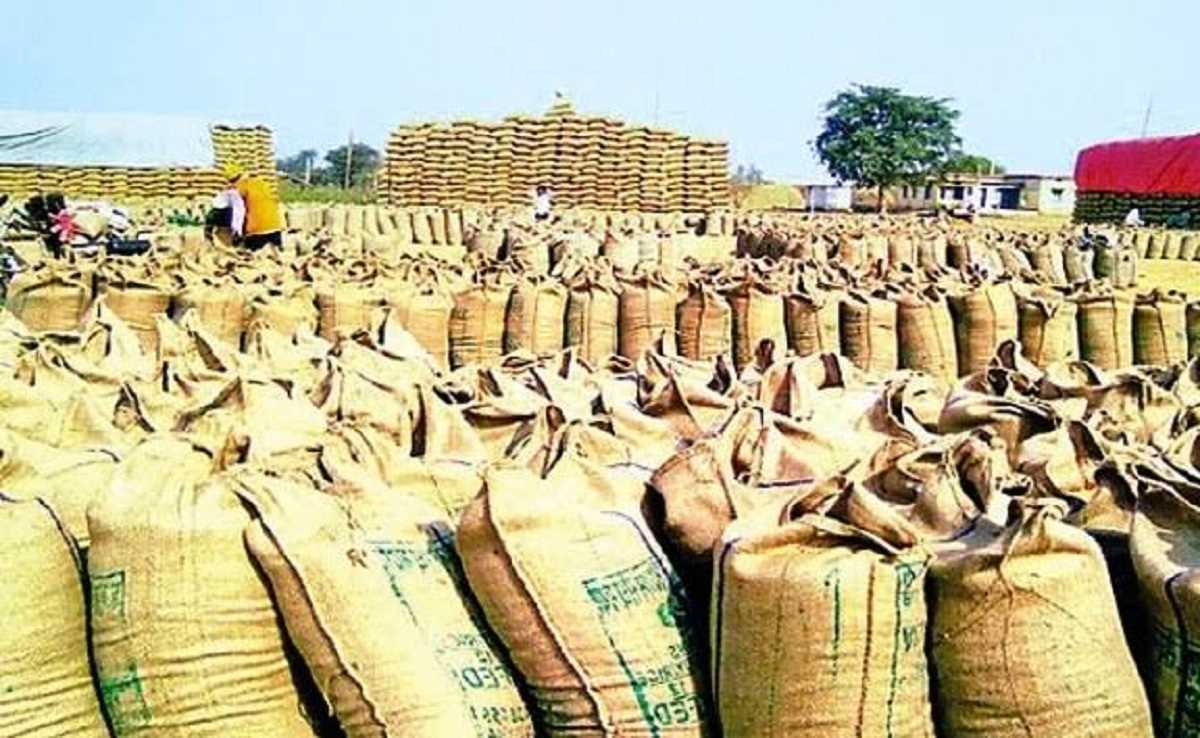 स्टेट सिविल सप्लाइज का अनाज निजी गोदामों में मिला, प्रशासन ने गोदाम किये सील। स्टेट सिविल सप्लाइज का अनाज निजी गोदामों में मिला, प्रशासन ने गोदाम किये सील।