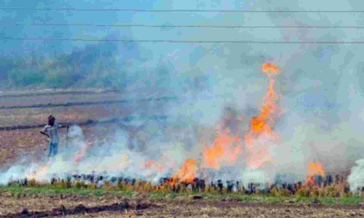 एनएचआरसी ने पराली पर पंजाब के मुख्य सचिव से विस्तृत रिपोर्ट प्राप्त की