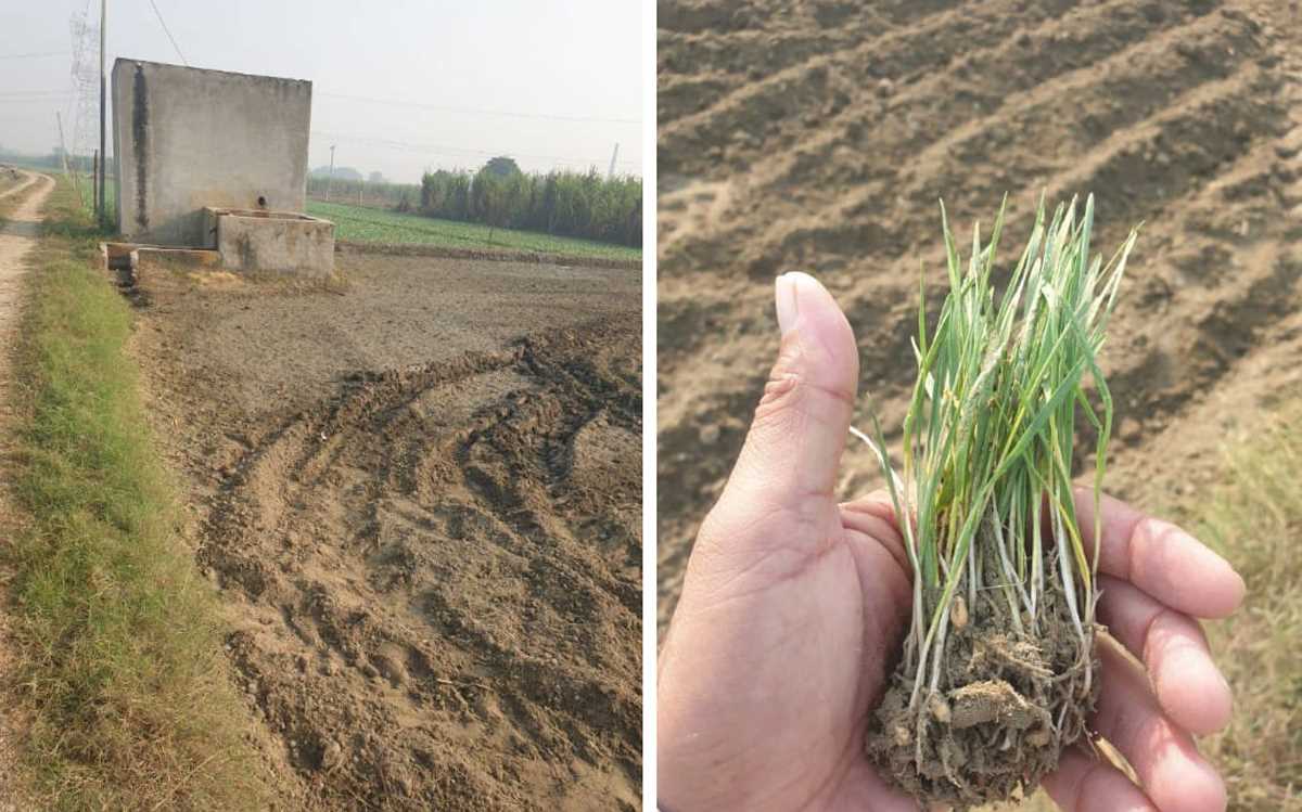 दबंगों पर लगाया पीड़ित किसान ने फसल उजाड़ने का आरोप रिपोर्ट दर्ज, पुलिस जांच में जुटी दबंगों पर लगाया पीड़ित किसान ने फसल उजाड़ने का आरोप रिपोर्ट दर्ज, पुलिस जांच में जुटी