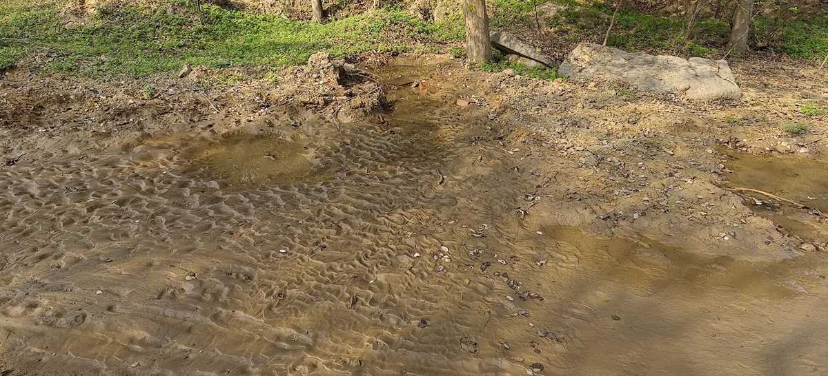घरों तक गंगाजल की दरकिनार, सड़केे हो रही गंगाजल से सरोबार