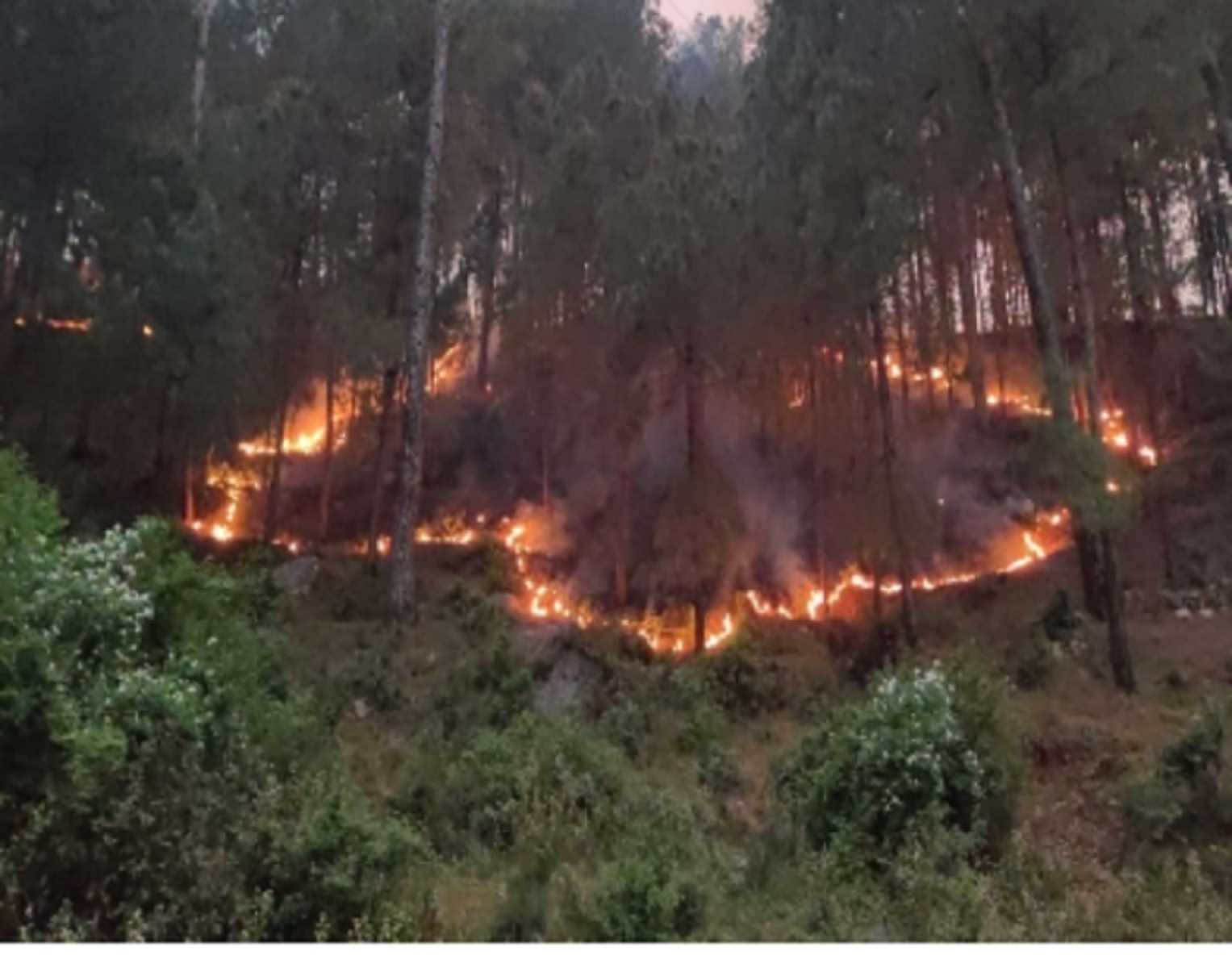 उत्तराखंड में फायर सीजन शुरू होने से पहले वन विभाग हुआ सतर्क