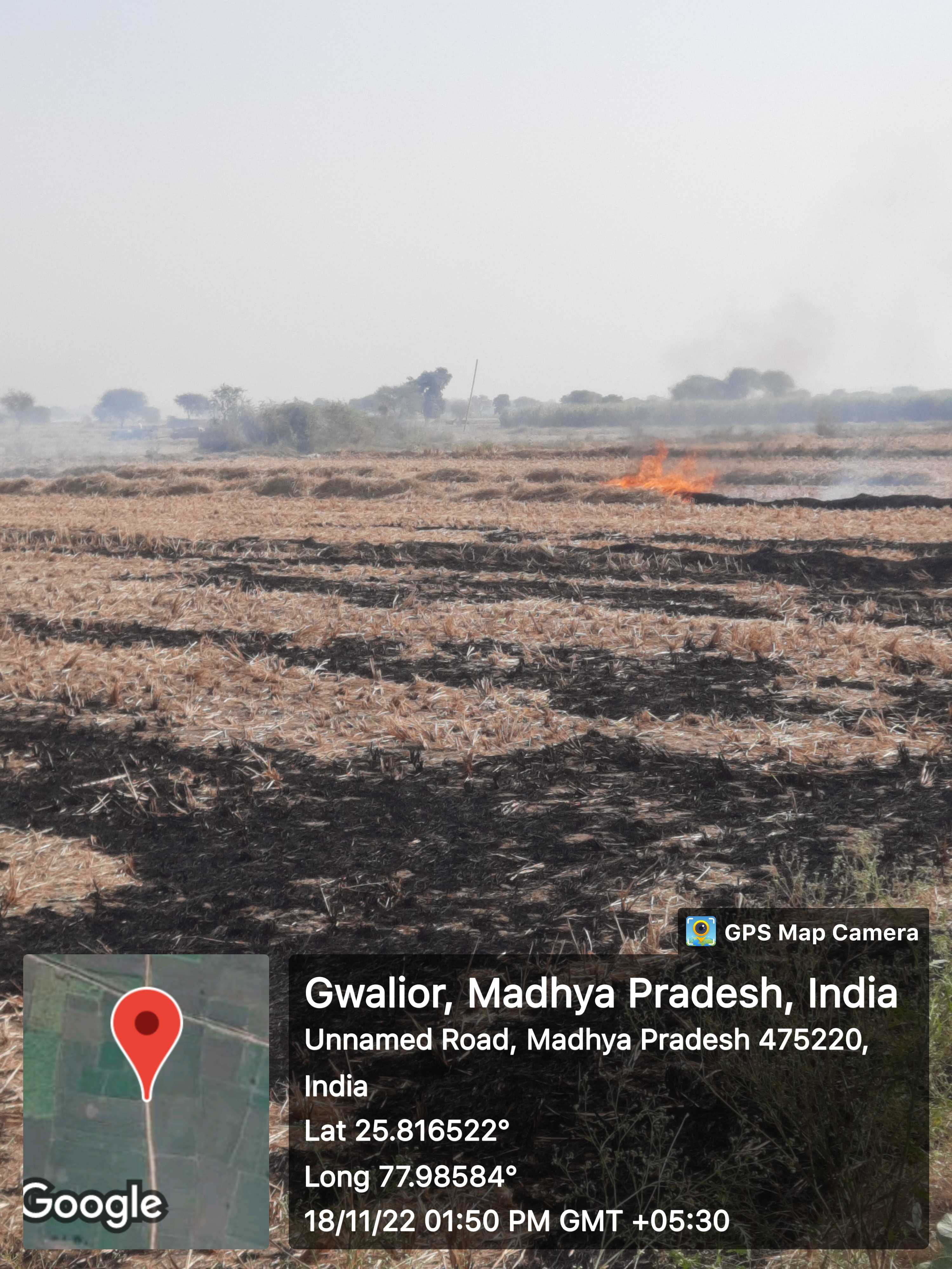 MP News: ग्वालियर खबर, पराली जलने के रियलिटी चेक