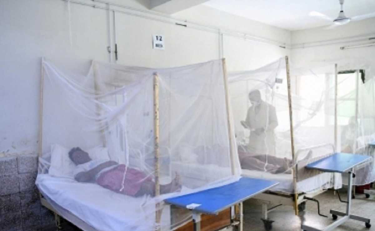 तेजी से बढ़ रहे हैं डेंगू के मामले, एक दिन में 19 लोगों को डेंगू की पुष्टि