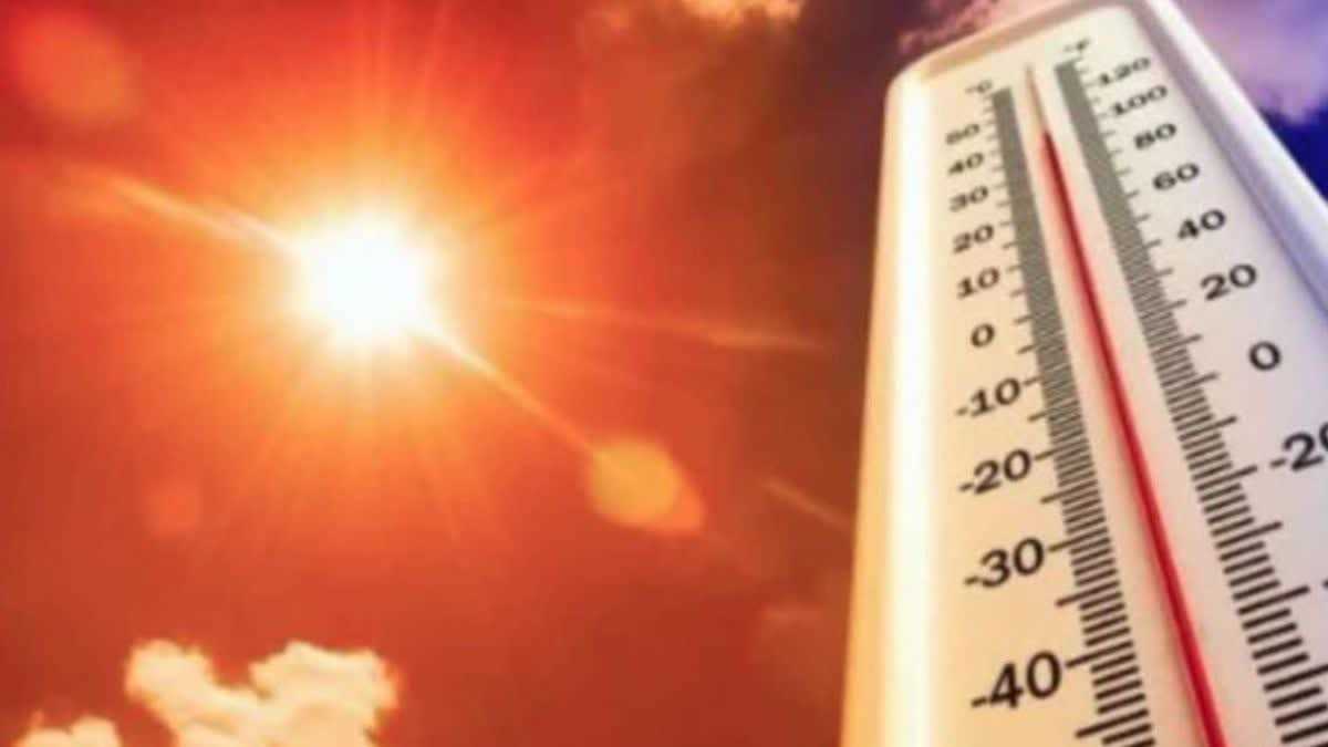 मौसम विभाग ने फिर जारी किया हीट वेव का अलर्ट, 2 दिनों में ही पारा 41 डिग्री पार जाने की संभावना मौसम विभाग ने फिर जारी किया हीट वेव का अलर्ट, 2 दिनों में ही पारा 41 डिग्री पार जाने की संभावना