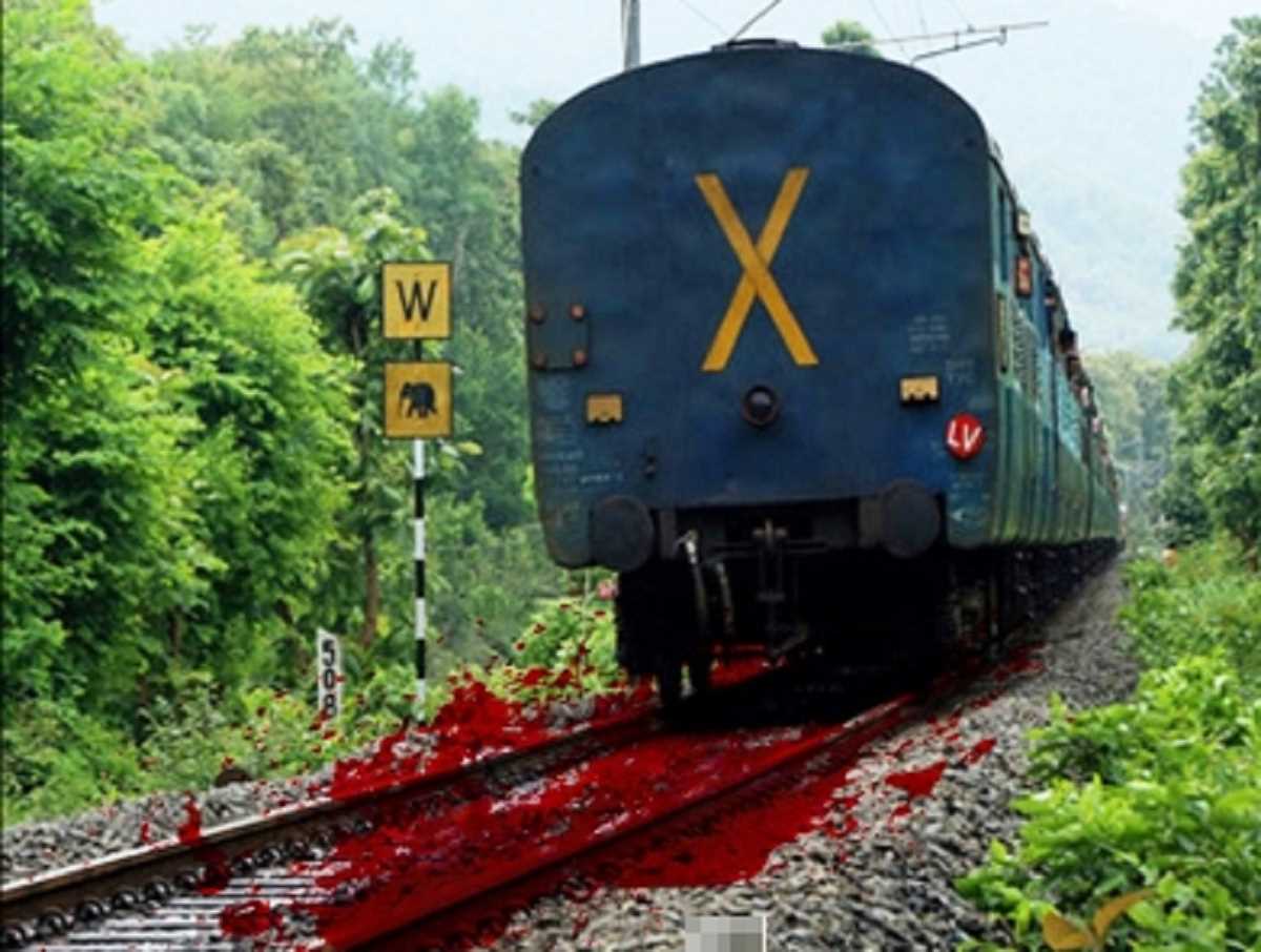 दिल्ली में ट्रेन की चपेट में आने से तीन की मौत, एक शख्स बाल-बाल बचा