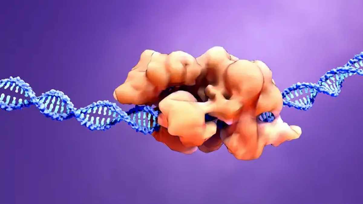 समय के साथ खत्म हो जाएंगे हेट्रोसेक्सुल लोगः शोध समय के साथ खत्म हो जाएंगे हेट्रोसेक्सुल लोगः शोध