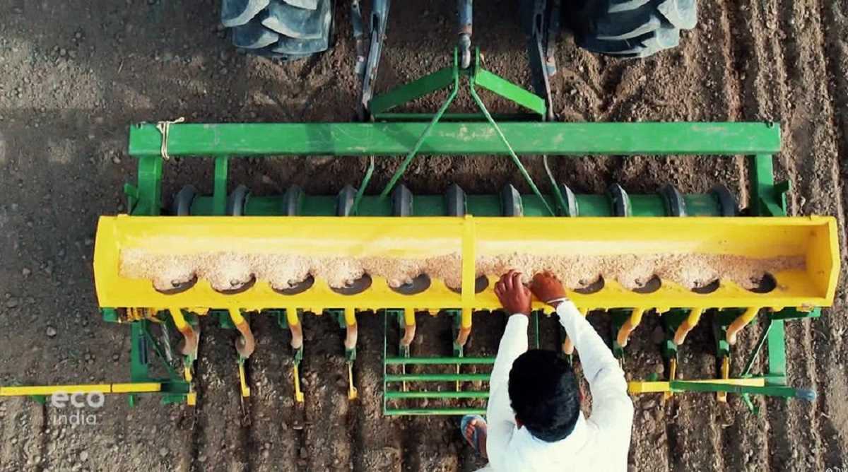 चावल निर्यात पर भारत की रोक से दुनियाभर में अफरा-तफरी