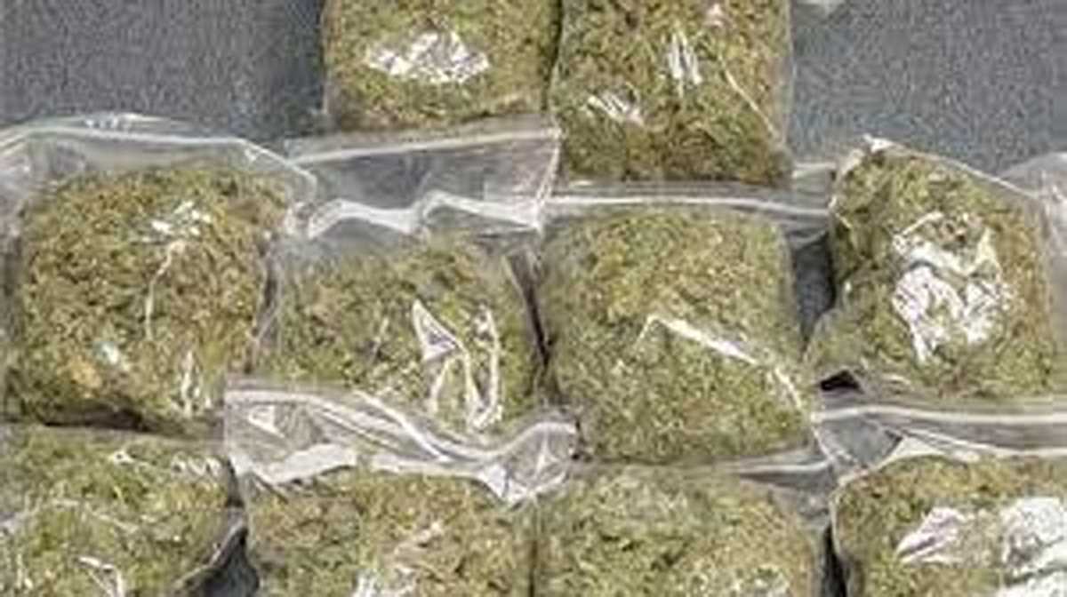 यूपी पुलिस ने 51 किलोग्राम गांजा के साथ 5 तस्करों को पकड़ा