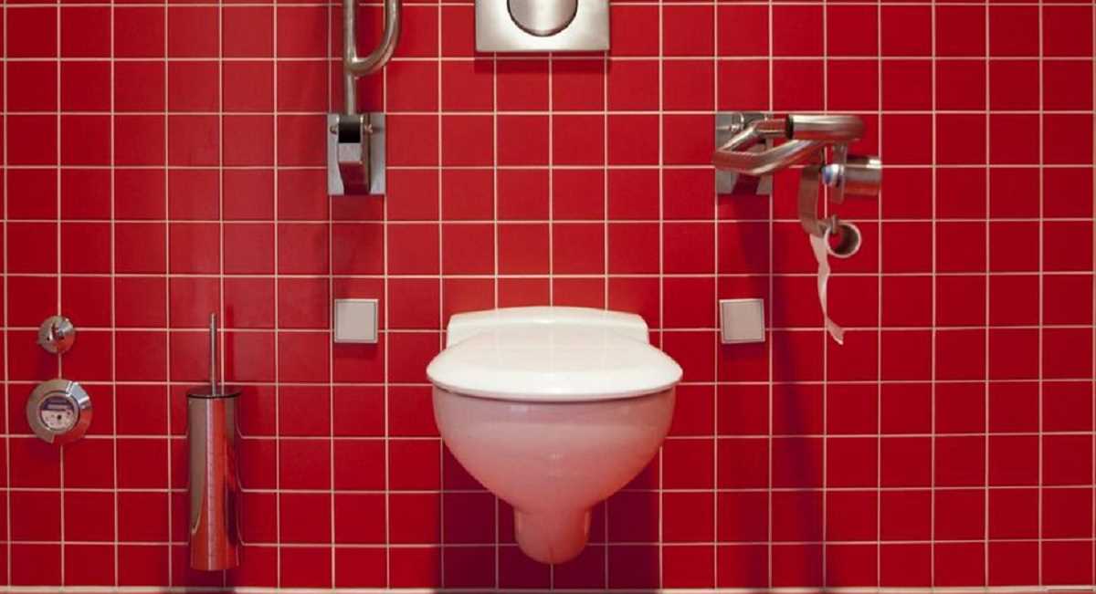 जर्मनी: स्कूली शौचालयों की हालत सुधारने के लिए एक पहल