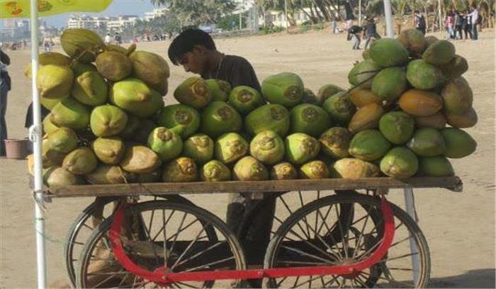 कर्नाटक में सूखे के कारण नारियल का उत्पादन प्रभावित