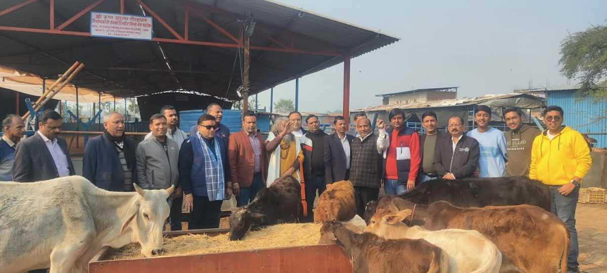 नव वर्ष के पहले दिन रोटरी क्लब ग्रीन ने गौशाला में किया गाय सेवा