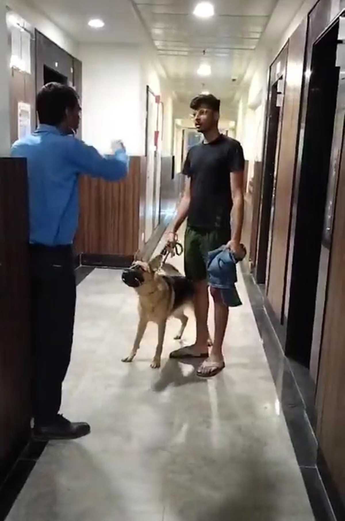 कुत्ते को लेकर फिर हुआ हंगामा, लिफ्ट में कुत्ता ले जाने से डरा बच्चा, काफी देर तक होती रही बहस